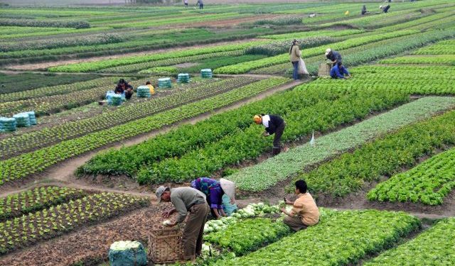 You are currently viewing Nigeria: FG urges banks to support climate-smart farming