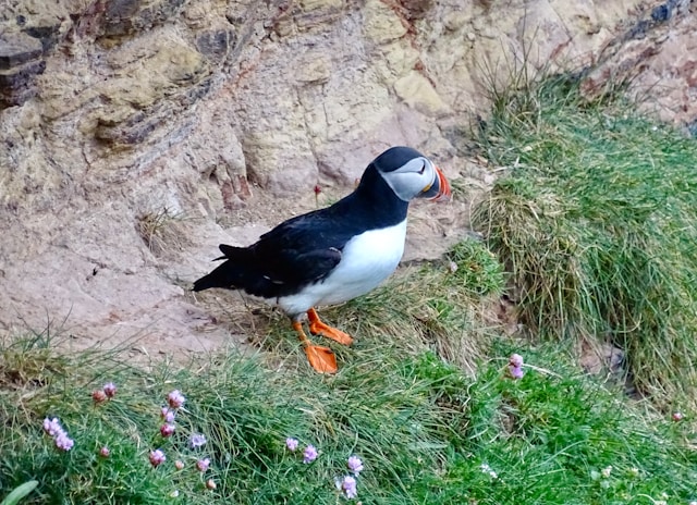 You are currently viewing Conservation Communicator-NG to Host Virtual Conference on World Environment Day 2026