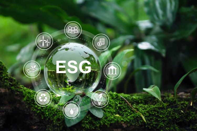 You are currently viewing ESG Communication Expertise: From Sustainability Messaging to Strategic Trust Architecture