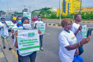 Read more about the article From Climate Talk to Climate Value: Why Africa Must Deliver Results