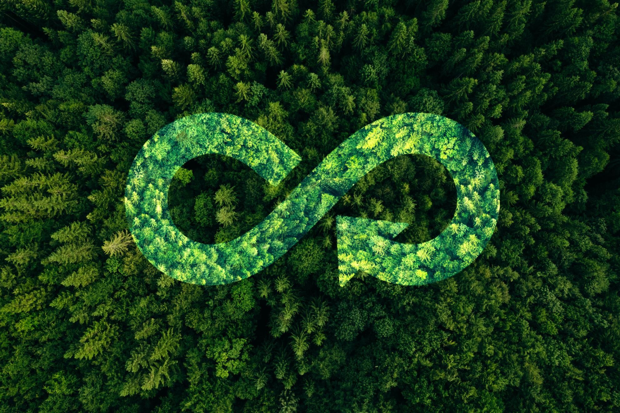 You are currently viewing EU’s Circular Economy Act Signals a Global Turning Point: Nigeria and Africa Must Accelerate Their Circular Economy Transition