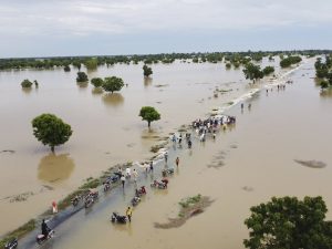 Read more about the article Flooding and Urban Resilience: Building Safer Nigerian Cities
