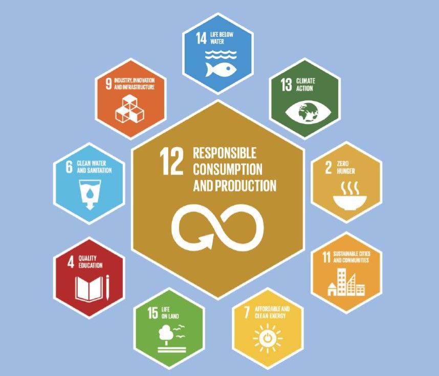 You are currently viewing Sustainable Consumption Demands Corporate Responsibility, Not Consumer Burden